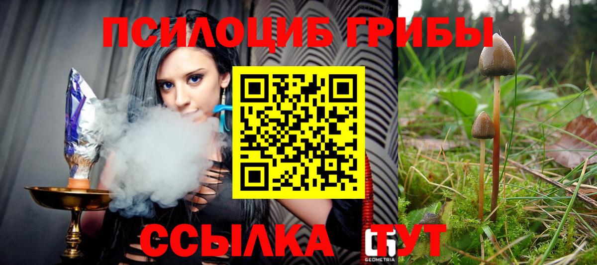 Псилоцибиновые грибы Psilocybine cubensis  Вход с VPN  наркошоп  Галлюциногенные грибы Psilocybine cubensis  Котельники 
