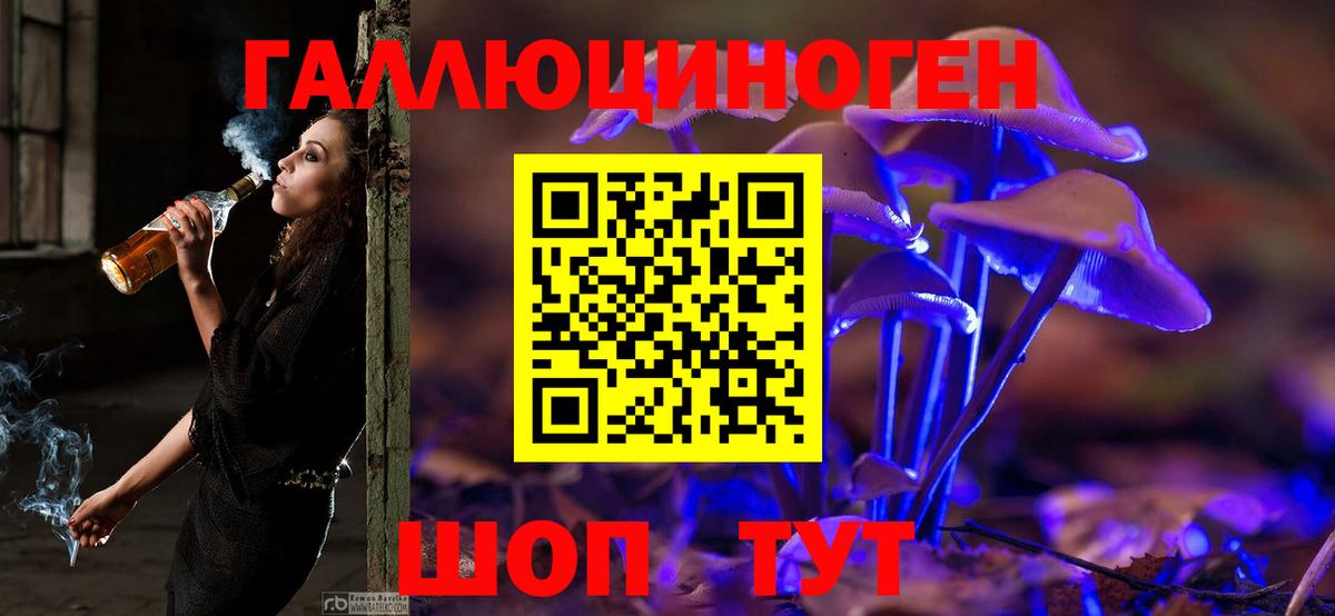 Галлюциногенные грибы мицелий Котельники